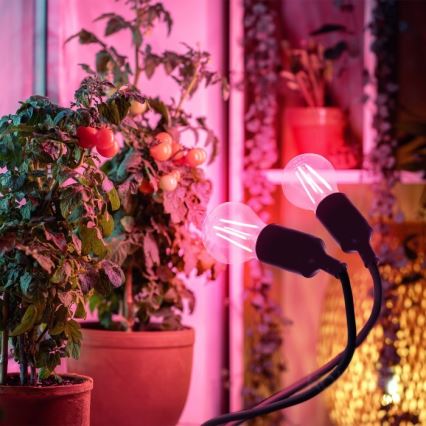 Flexibel bordslampa med klämma för växtodling PLANTY 2xE27/30W/230V svart