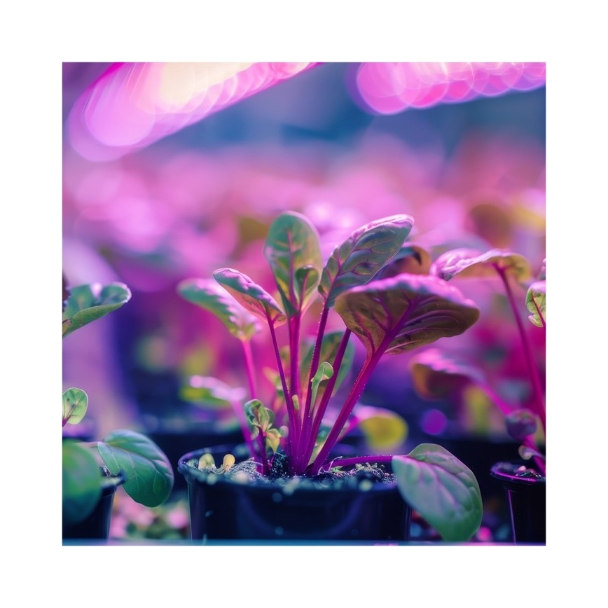 Flexibel bordslampa med klämma för växtodling PLANTY 1xE27/30W/230V svart