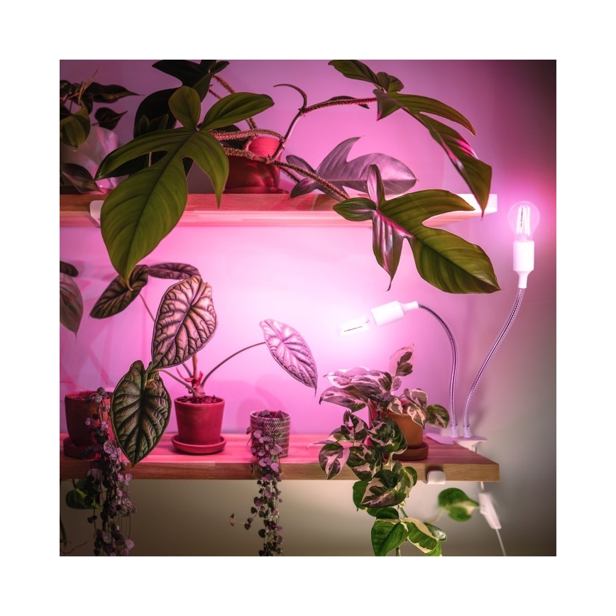 Flexibel bordslampa med klämma för växtodling PLANTY 2xE27/30W/230V vit