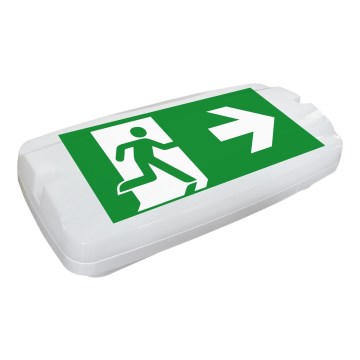 Fulgur 26200 - LED Nödbelysning SAFEBOY LED/5,5W/230V 400 mAh IP65 6500K