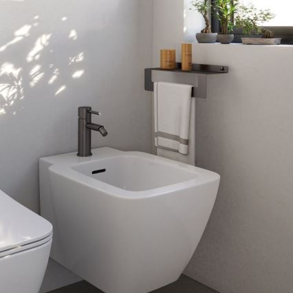 Gedy - Hylla med handdukshängare CLEO 50 cm metallisk grå