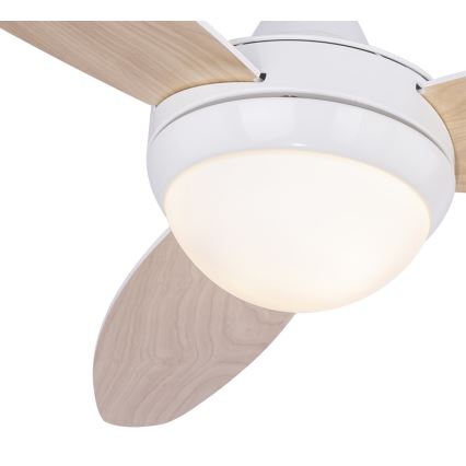 Globo 03612 - Takfläkt CORDULA 2xE14/40W/230V + Fjärrkontroll 