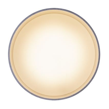 Globo - LED Taklampa LED/8W/230V + LED/4W/230V