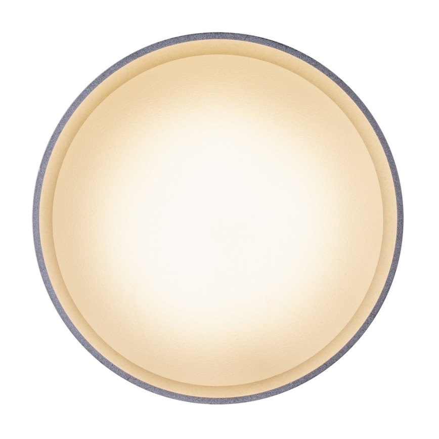 Globo - LED Taklampa LED/8W/230V + LED/4W/230V