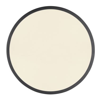 Globo - LED dimbar taklampa LED/22W/230V