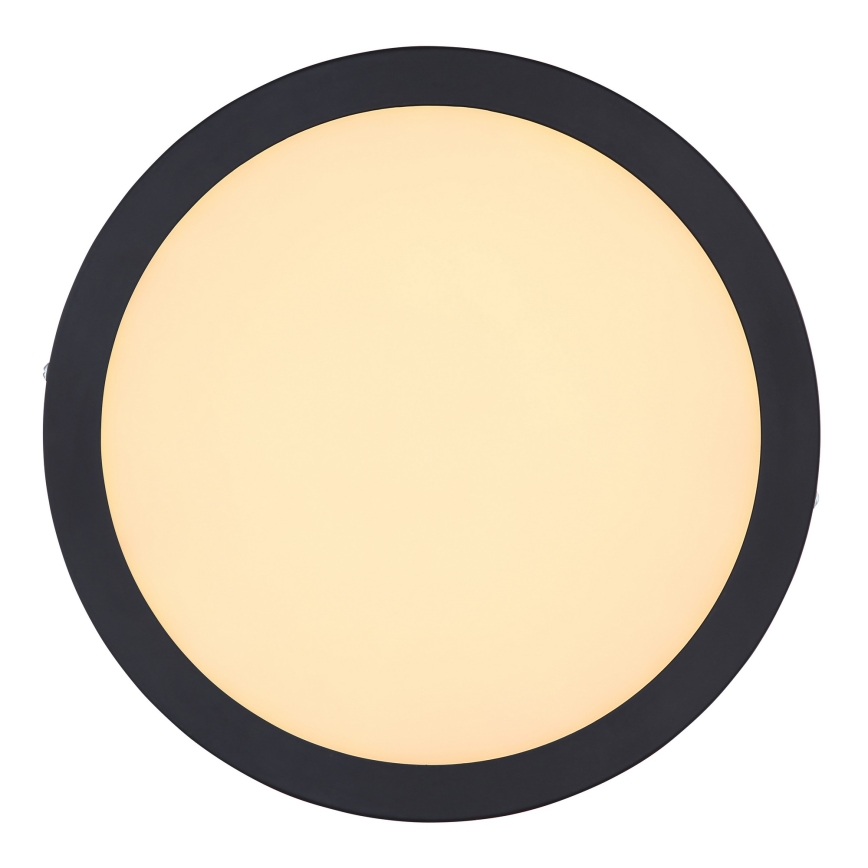 Globo 12374-24R - LED Takbelysning DINO LED/22W/230V