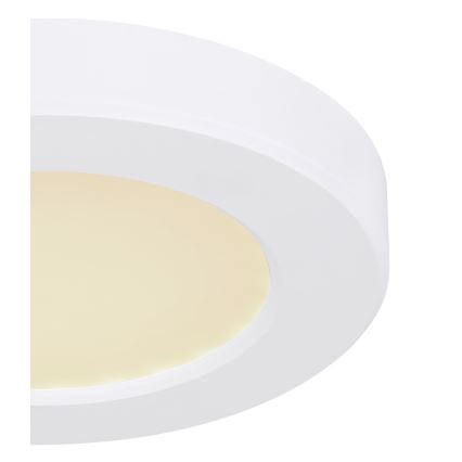 Globo - LED taklampa LED/6W/230V 3000/4000/6500K vit
