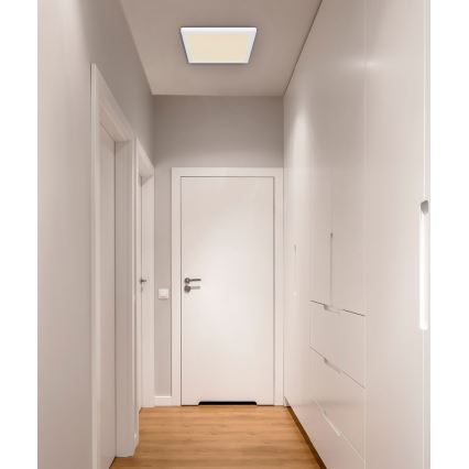 Globo  - LED Taklampa LASSE LED/24W/230V 3000/4000/6500K vit