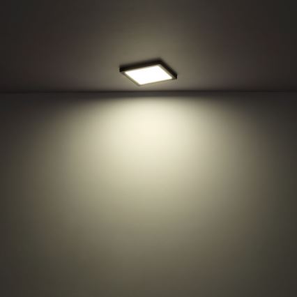 Globo  - LED Taklampa LASSE LED/24W/230V 3000/4000/6500K vit