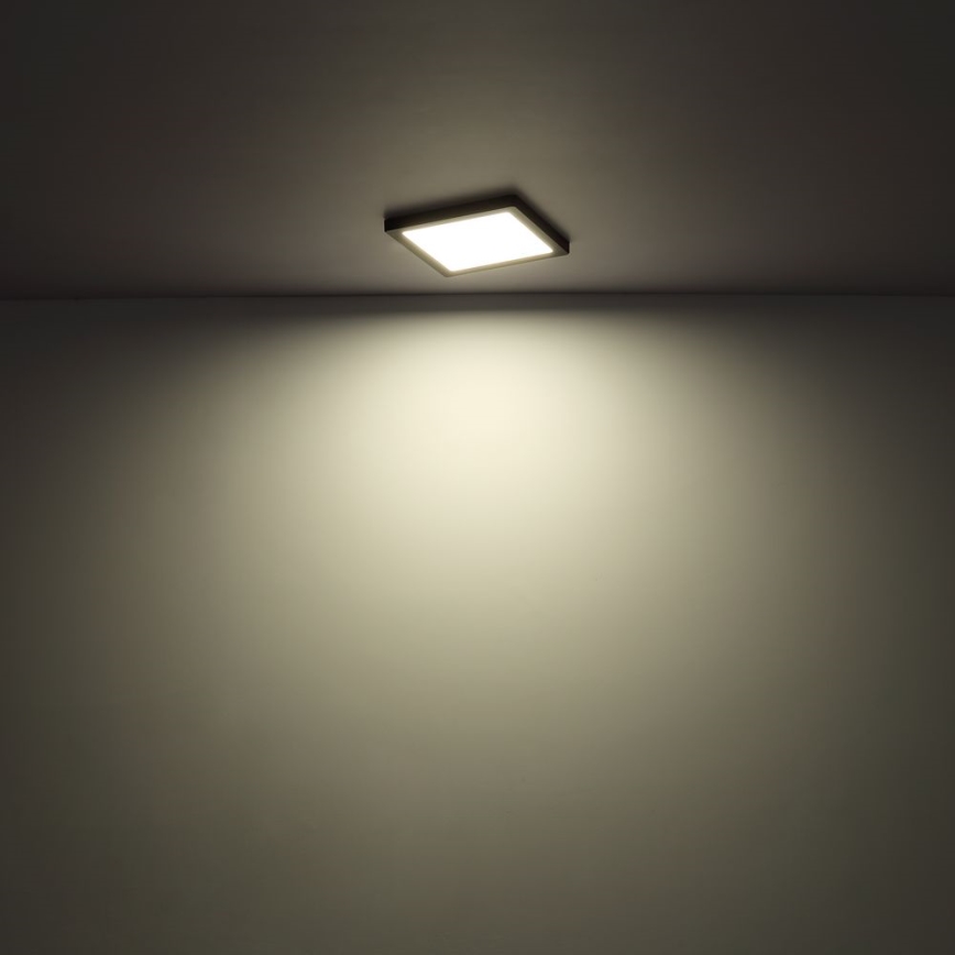 Globo  - LED Taklampa LASSE LED/24W/230V 3000/4000/6500K vit