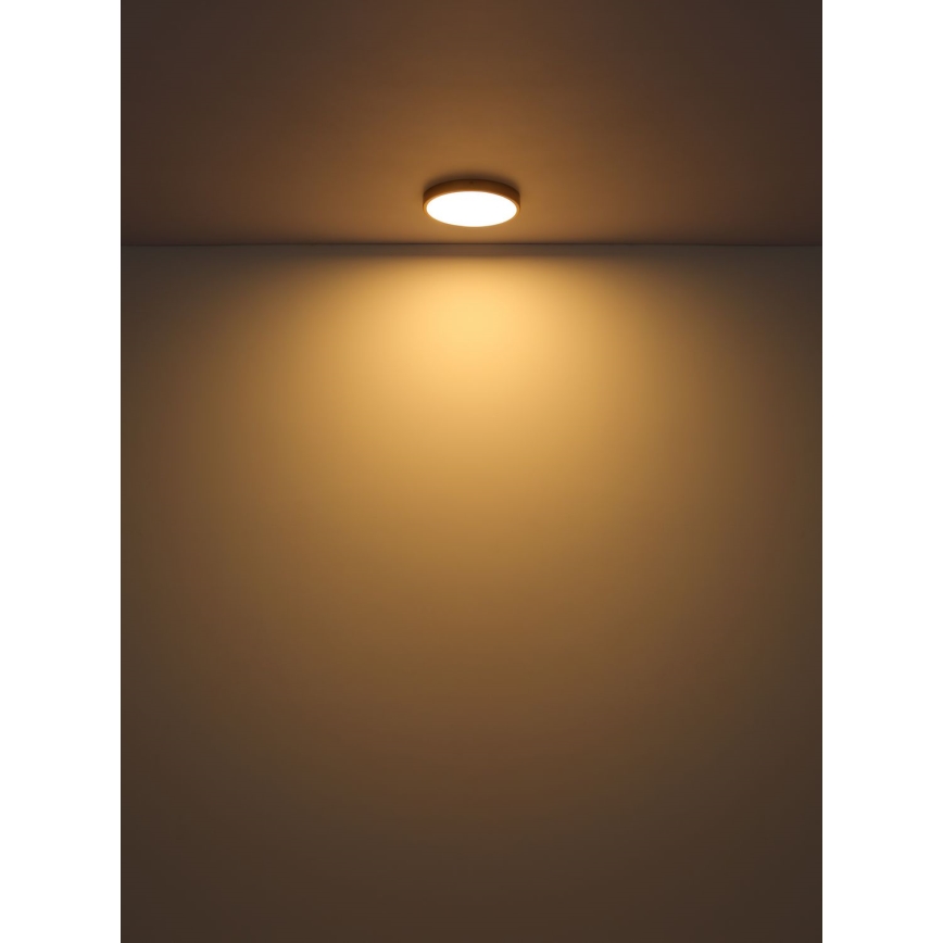 Globo - LED taklampa LED/22W/230V diameter 35 cm