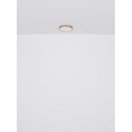 Globo - LED taklampa LED/22W/230V diameter 35 cm