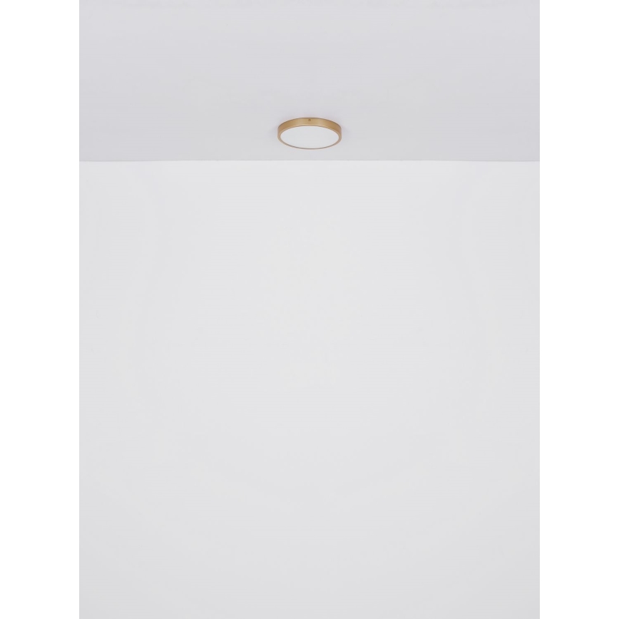 Globo - LED taklampa LED/22W/230V diameter 35 cm