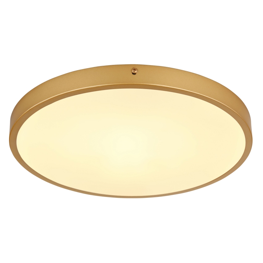 Globo - LED taklampa LED/22W/230V diameter 35 cm