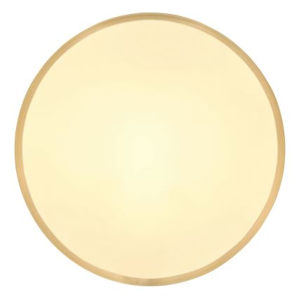 Globo - LED taklampa LED/22W/230V diameter 35 cm