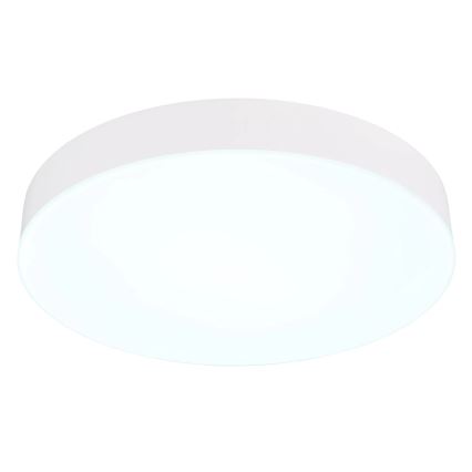 Globo - LED taklampa LED/24W/230V 3000K/4000K/6500K diameter 30 cm vit
