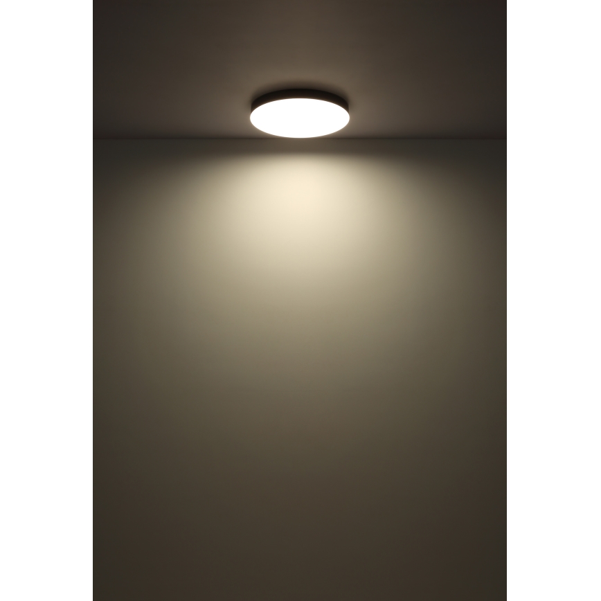 Globo - LED taklampa LED/36W/230V 3000K/4000K/6500K diameter 40 cm vit