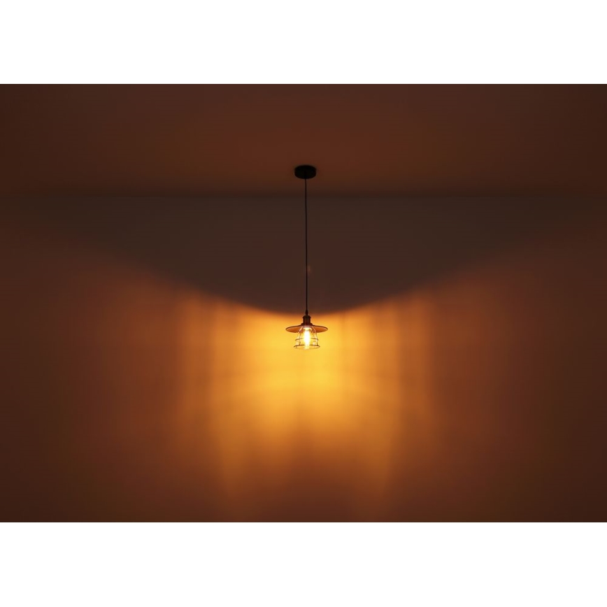 Globo - Taklampa med 1xE27/60W/230V