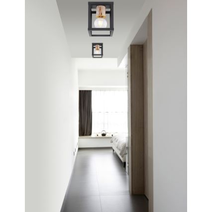 Globo 15476D - Takbelysning HAGAR 1xE27/60W/230V