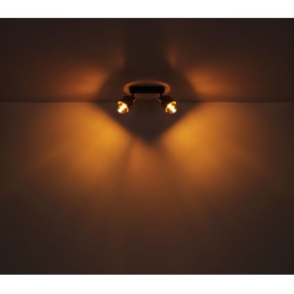 Globo - Spotlight 2xE27/40W/230V svart/mässing