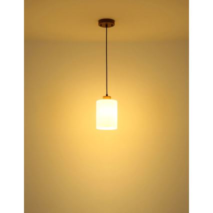 Globo - Hänglampa med sladd 1xE27/60W/230V ek/vit