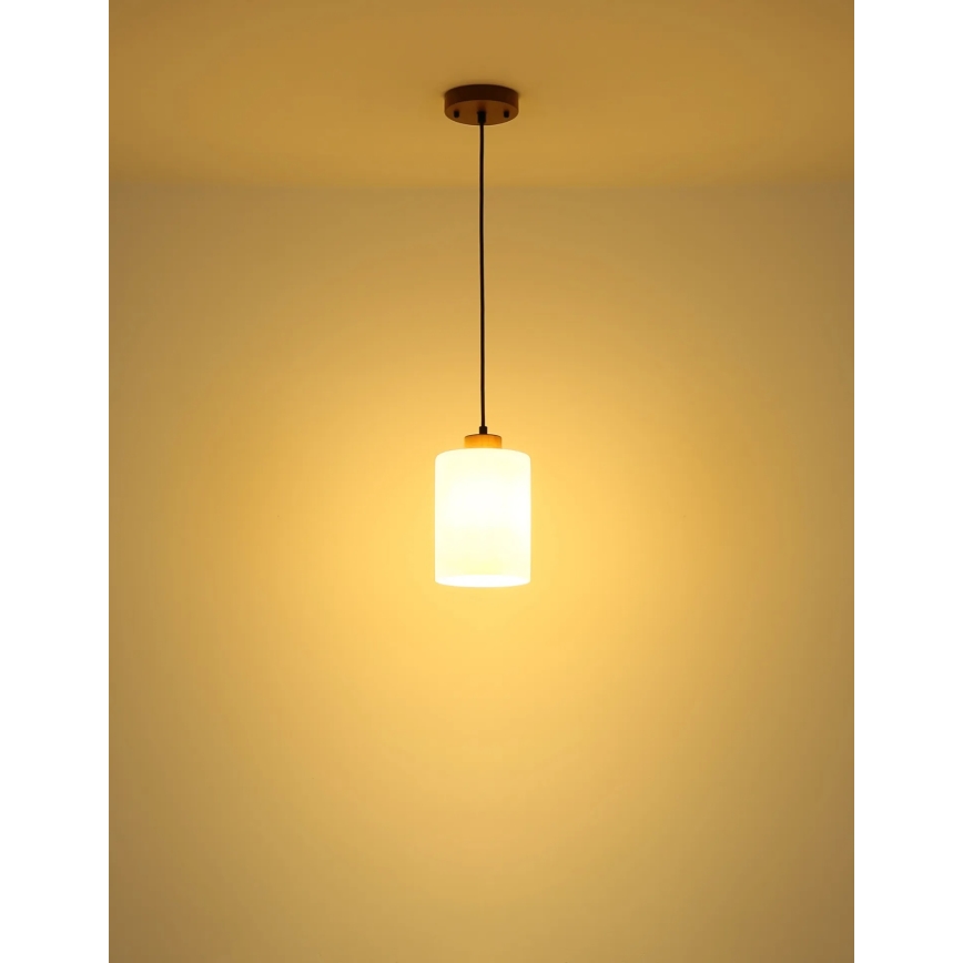 Globo - Hänglampa med sladd 1xE27/60W/230V ek/vit