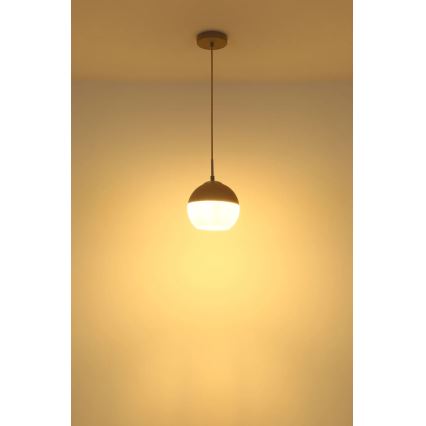 Globo - Taklampa med kabelupphängning 1xE27/60W/230V Ø 20 cm