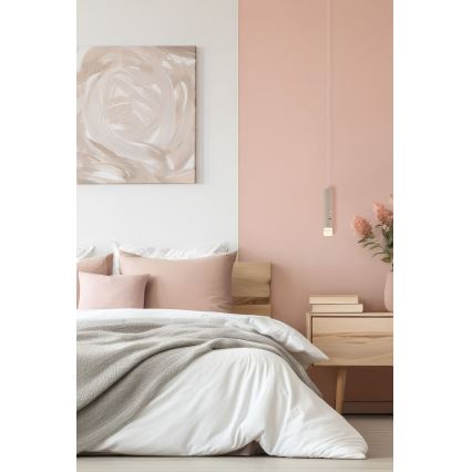 Globo - 2-i-1 LED-armatur, dimbar, touchstyrd och uppladdningsbar LED/2W/230/5V