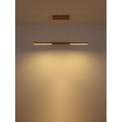 Globo - LED-pendel på vajer LED/24W/230V 3000K