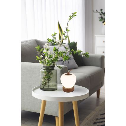 Globo - LED dimbar touchbordslampa LED/2W/3,7V 2700K/4000K/6500K 1200 mAh USB brun