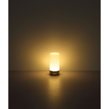 Globo - LED RGBW Dimbart touch-utomhusbordslampa LED/1,8W/5V 1500 mAh IP44 matt krom