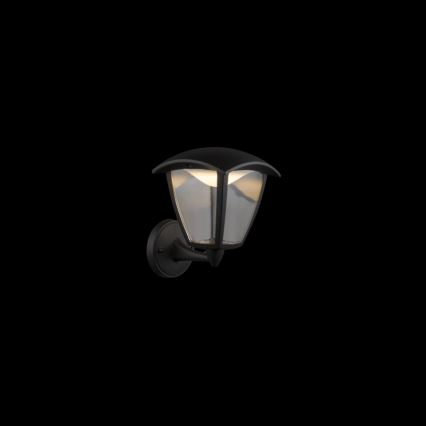 Globo - LED vägglampa för utomhusbruk LED/7W/230V IP54