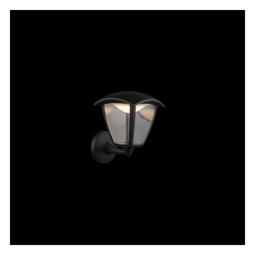 Globo - LED vägglampa för utomhusbruk LED/7W/230V IP54