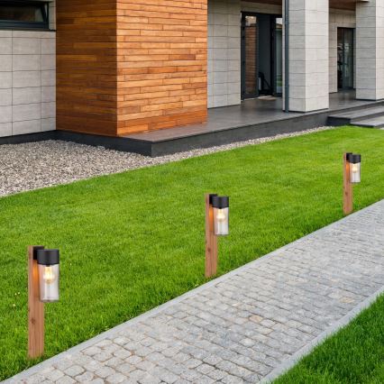 Globo - Utomhuslampa 1xE27/40W/230V 50 cm IP44