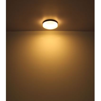 Globo - Badrumslampa 1xE27/60W/230V diameter 18,4 cm IP44