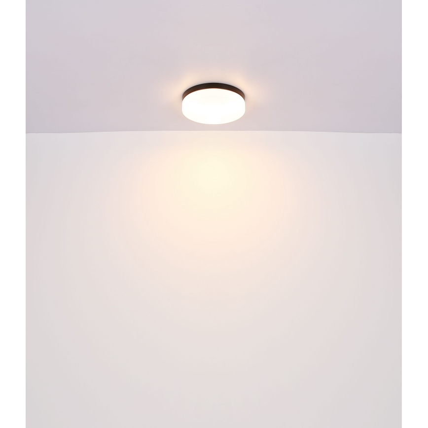 Globo - Badrumslampa 2xE27/60W/230V diameter 24 cm IP44