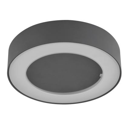 Globo - Utomhus LED taklampa  LED/12W/230V IP54
