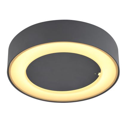 Globo - Utomhus LED taklampa  LED/12W/230V IP54