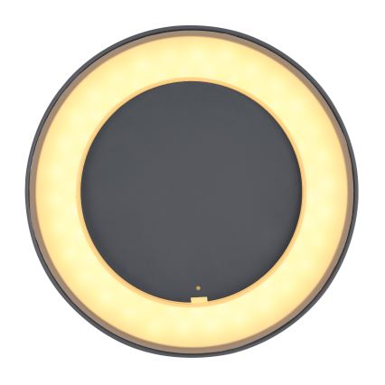 Globo - Utomhus LED taklampa  LED/12W/230V IP54