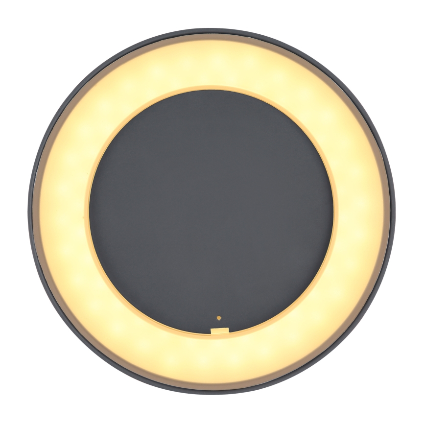 Globo - Utomhus LED taklampa  LED/12W/230V IP54
