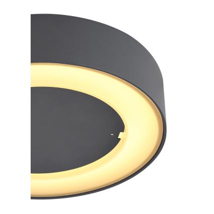 Globo - Utomhus LED taklampa  LED/12W/230V IP54