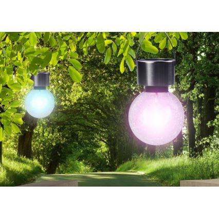 Globo - LED solcellsarmatur LED/0,05 W/1,2 V IP44