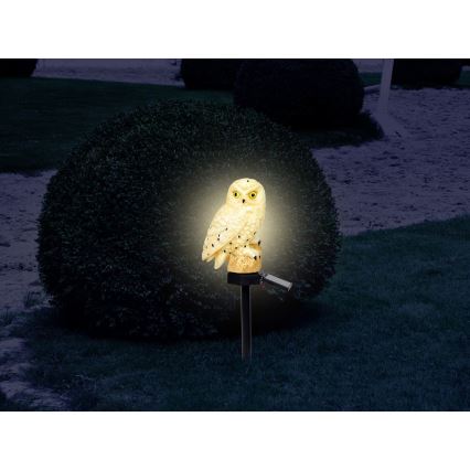 Globo - LED solcellslampa LED/0,06W/3V IP44 uggla
