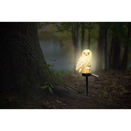Globo - LED solcellslampa LED/0,06W/3V IP44 uggla