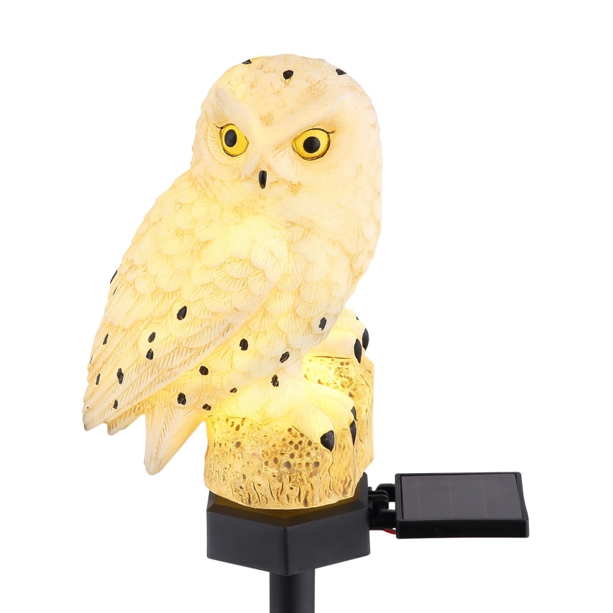 Globo - LED solcellslampa LED/0,06W/3V IP44 uggla