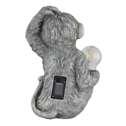 Globo - LED Solcell dekoration LED/0,02W/3V IP44 apa