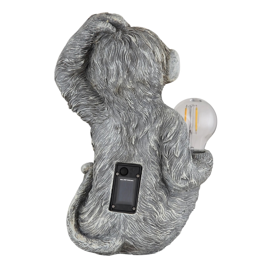 Globo - LED Solcell dekoration LED/0,02W/3V IP44 apa