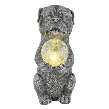 Globo - LED solardekoration LED/0,02W/3V IP44 300 mAh hund