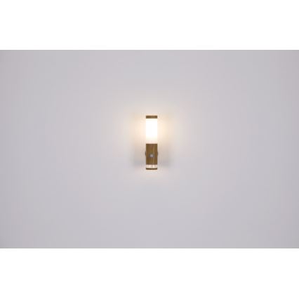 Globo - Utomhusbelysning  1xE27/15W/230V IP44