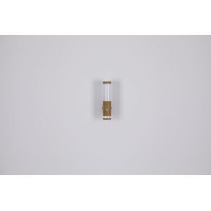 Globo - Utomhusbelysning  1xE27/15W/230V IP44